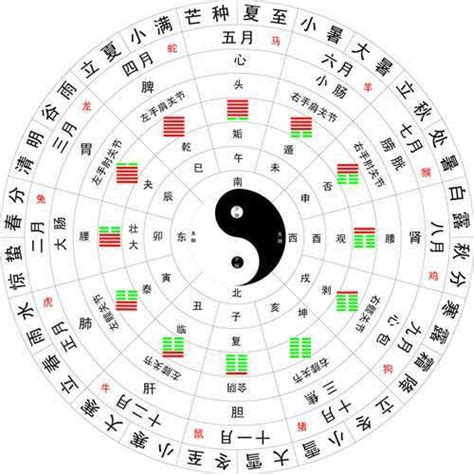 十天干 查詢|天幹地支